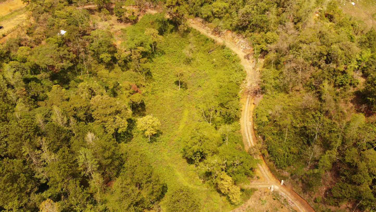 VENTA - Terreno en Cobán