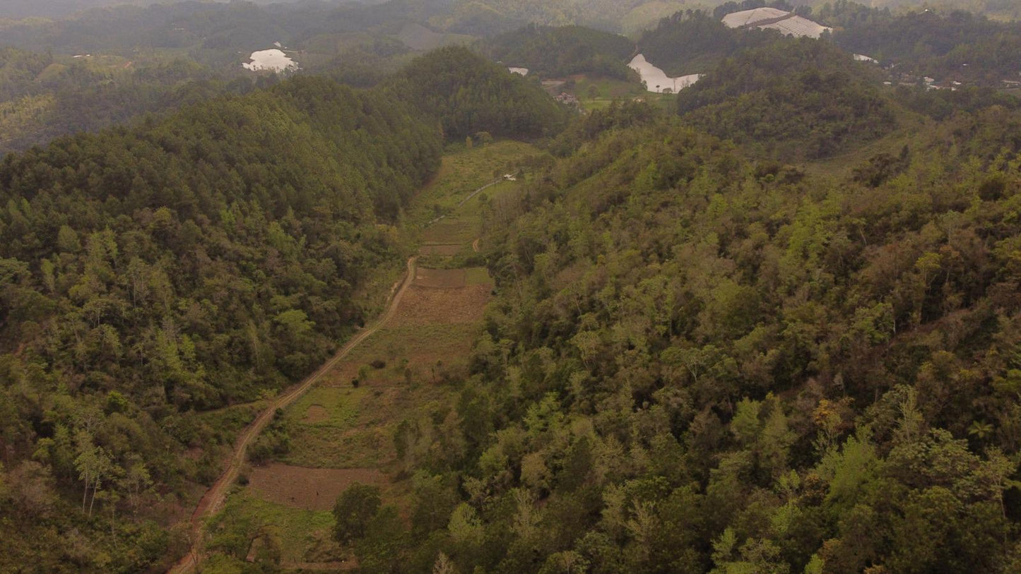 VENTA - Terreno en Cobán