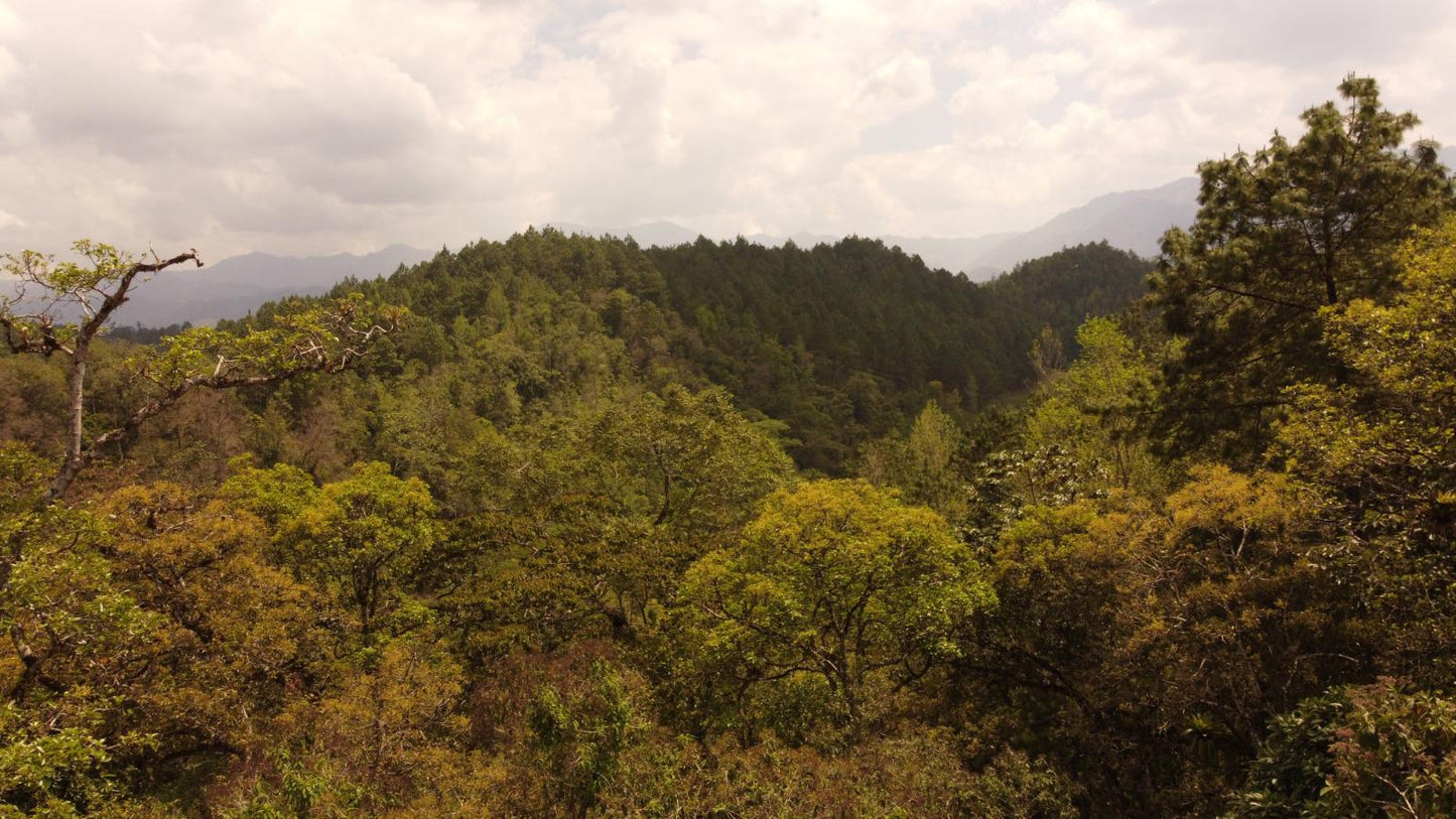 VENTA - Terreno en Cobán