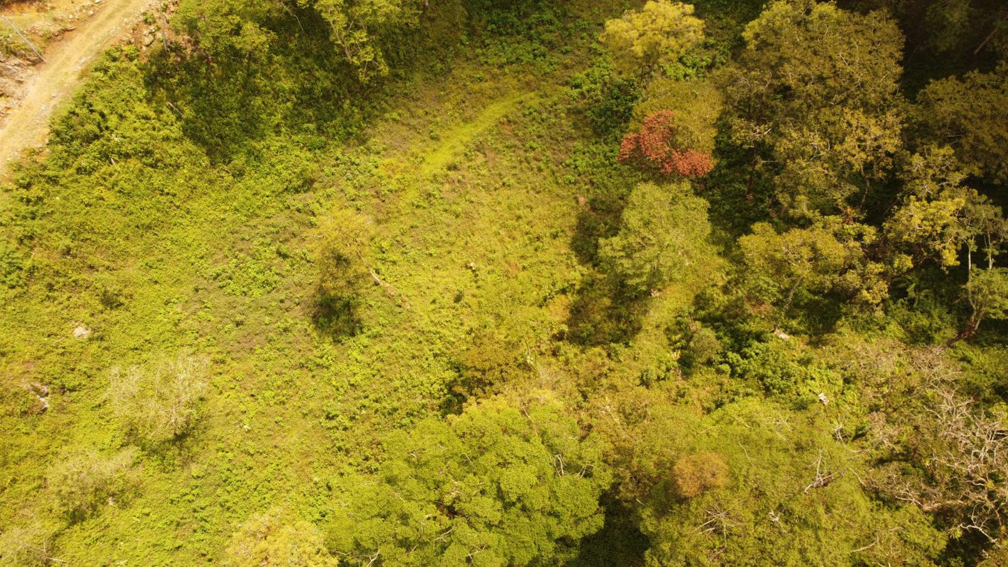 VENTA - Terreno en Cobán