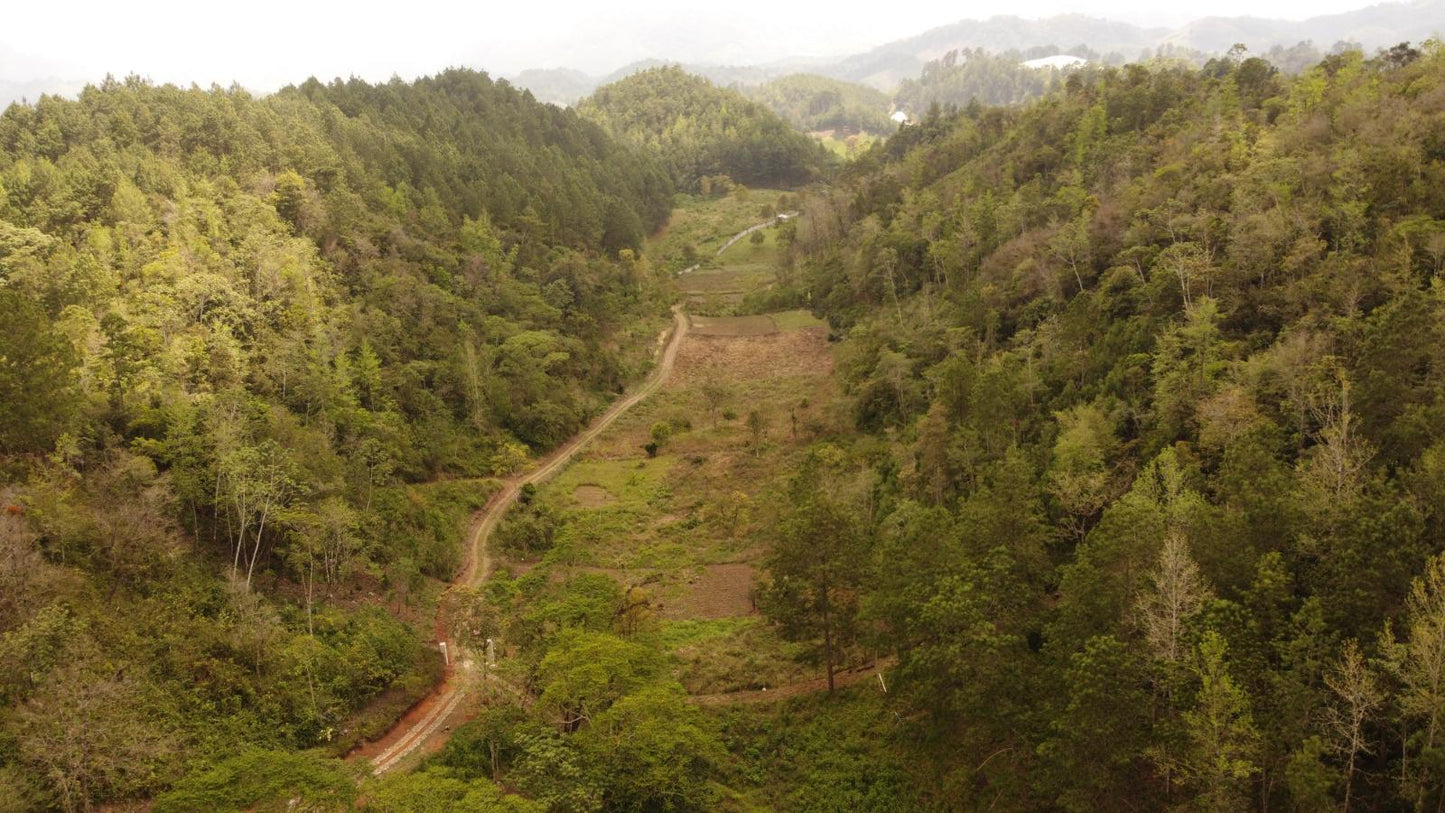 VENTA - Terreno en Cobán